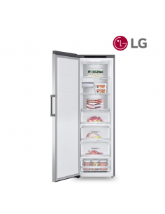 Congélateur 1 porte LG 324L GTF61PZCSE 2