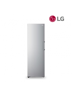 Congélateur 1 porte LG 324L GTF61PZCSE