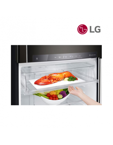 Réfrigérateur 2 portes 509L LG Wifi GTF7850BL1